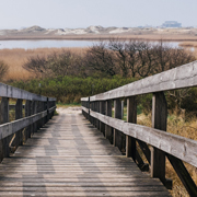 服务器攻击方式