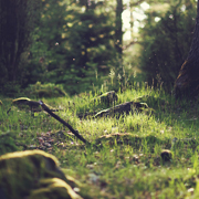 网页DDOS攻击平台